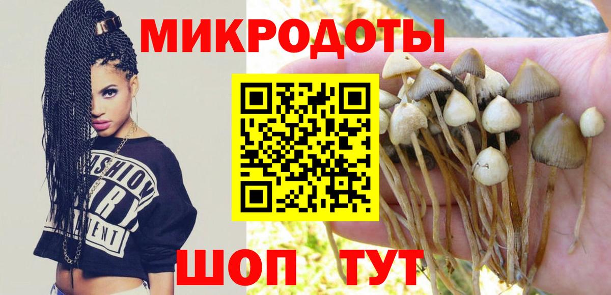 Псилоцибиновые грибы Magic Shrooms Черняховск